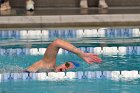 Swimming vs Bentley  Wheaton College Swimming & Diving vs Bentley College. - Photo by Keith Nordstrom : Wheaton, Swimming & Diving